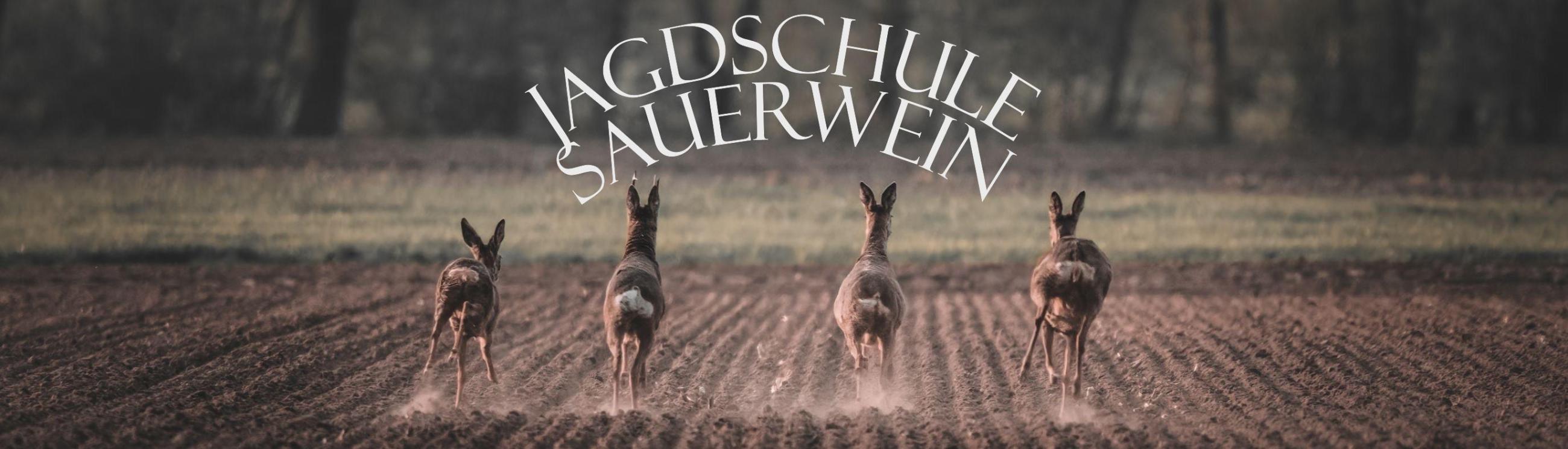 Jagdschule Delmenhorst Inhaber C. Sauerwein